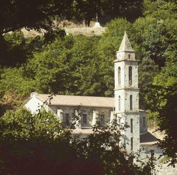 Casa Arena Authentique Maison De Village Avec Piscine Au Coeur De L'Alta Rocca - Zoza 外观 照片