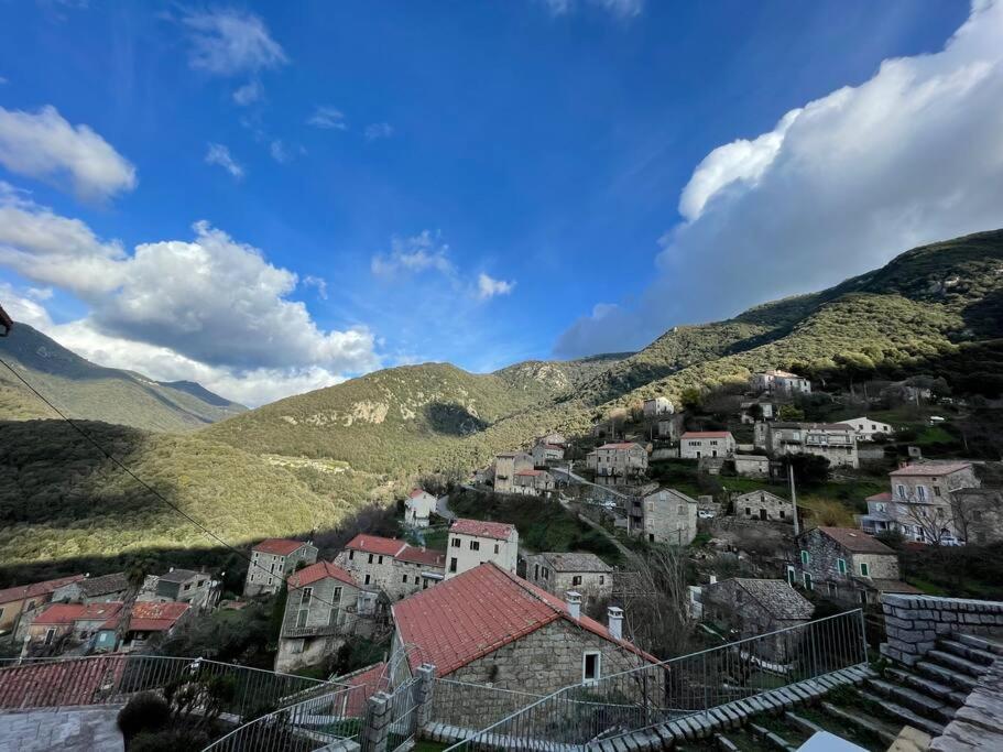 Casa Arena Authentique Maison De Village Avec Piscine Au Coeur De L'Alta Rocca - Zoza 外观 照片