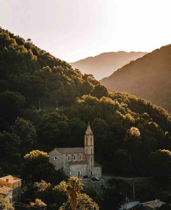 Casa Arena Authentique Maison De Village Avec Piscine Au Coeur De L'Alta Rocca - Zoza 外观 照片