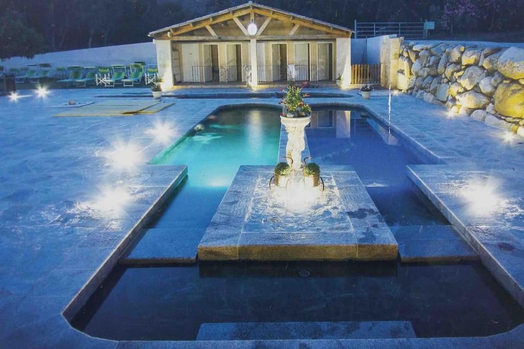 Casa Arena Authentique Maison De Village Avec Piscine Au Coeur De L'Alta Rocca - Zoza 外观 照片