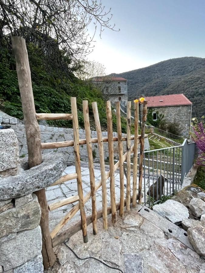 Casa Arena Authentique Maison De Village Avec Piscine Au Coeur De L'Alta Rocca - Zoza 外观 照片