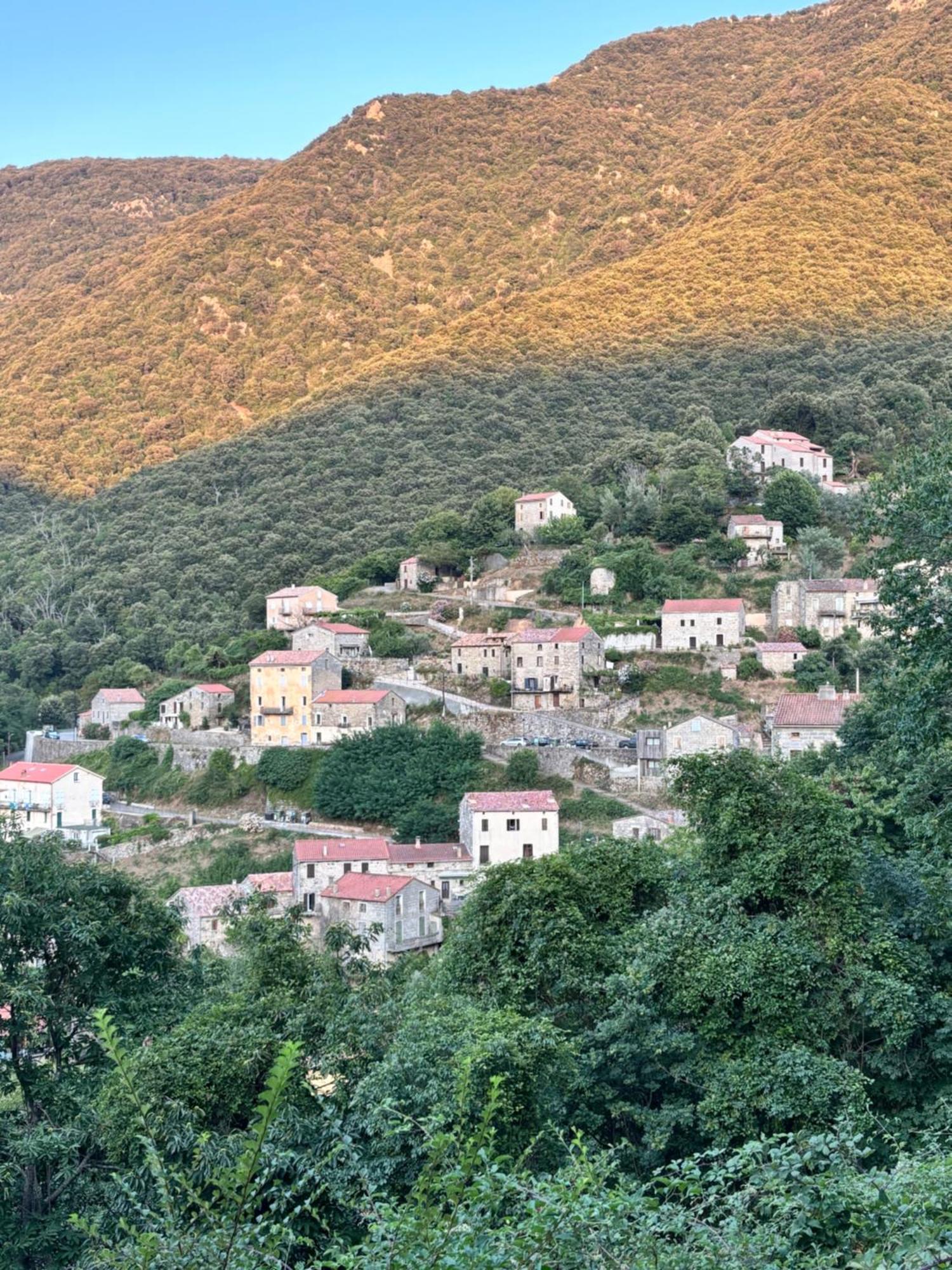 Casa Arena Authentique Maison De Village Avec Piscine Au Coeur De L'Alta Rocca - Zoza 外观 照片